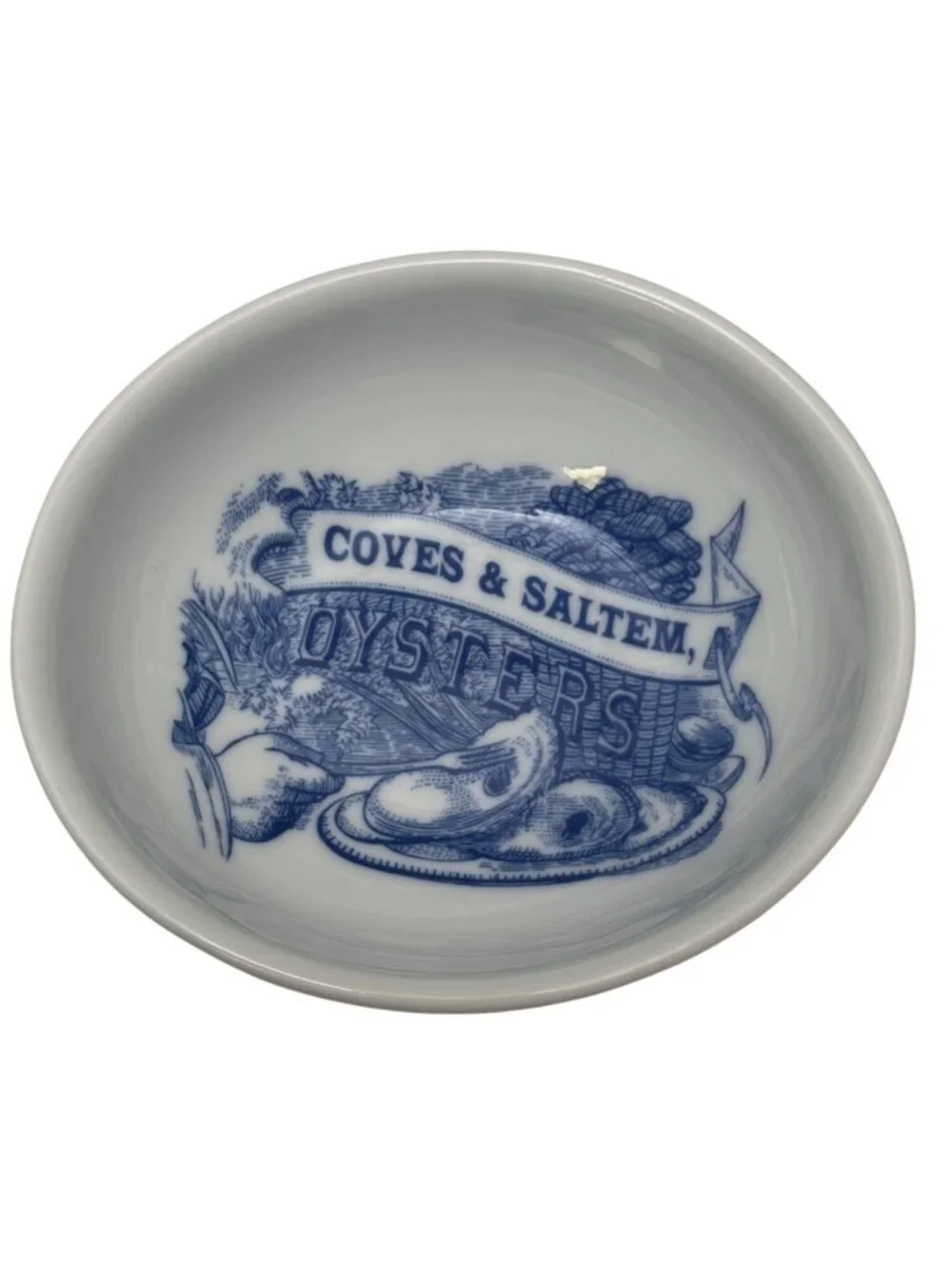 Williams Sonoma Oyster Dipping Bowl Blue White Coves & Saltem Seafood Dish